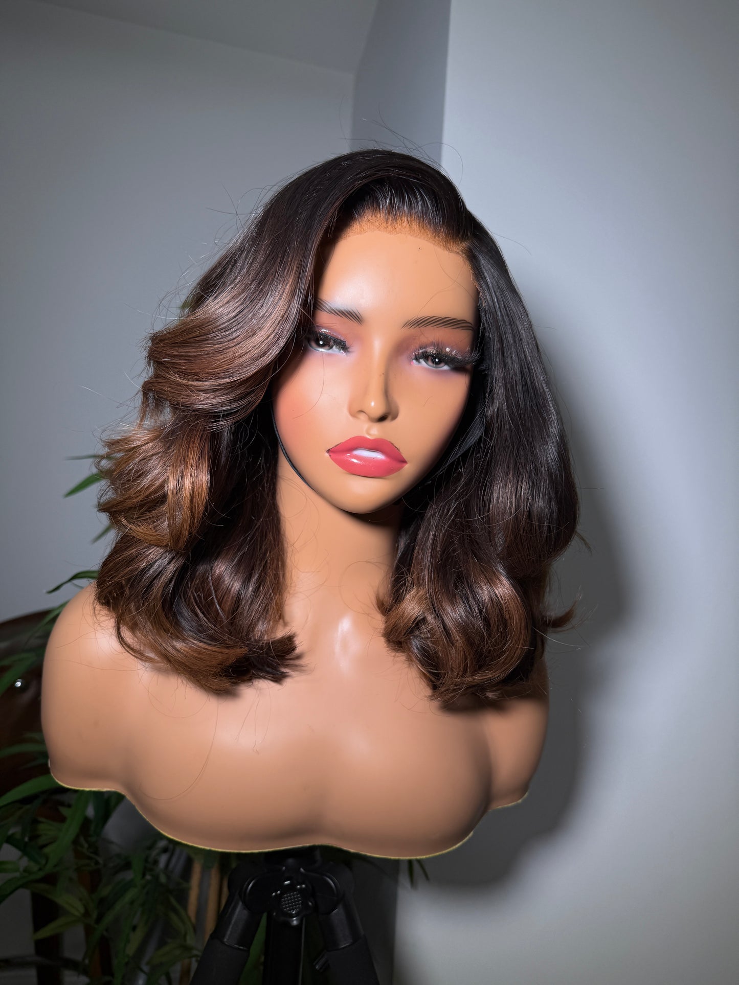 Ivy Ombre
